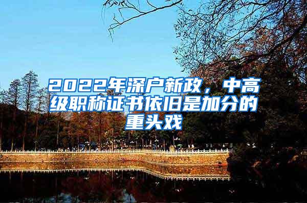 2022年深户新政，中高级职称证书依旧是加分的重头戏