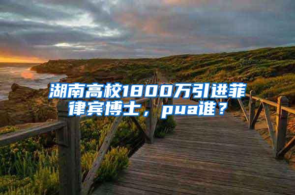 湖南高校1800万引进菲律宾博士，pua谁？