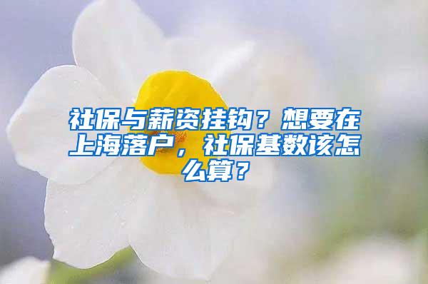 社保与薪资挂钩？想要在上海落户，社保基数该怎么算？