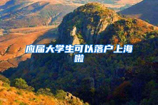 应届大学生可以落户上海啦