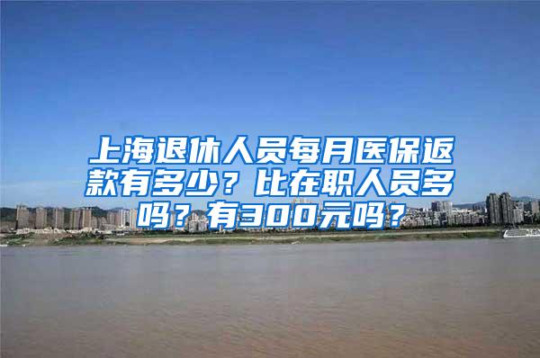 上海退休人员每月医保返款有多少？比在职人员多吗？有300元吗？