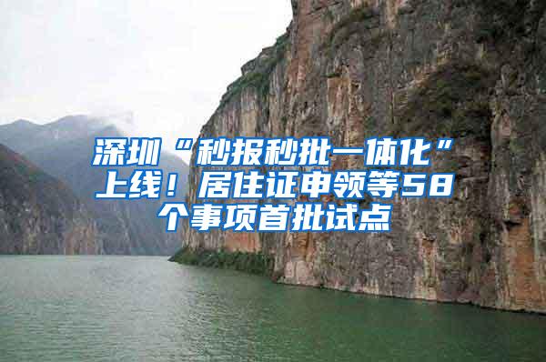 深圳“秒报秒批一体化”上线！居住证申领等58个事项首批试点