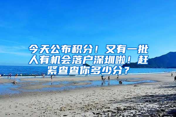 今天公布积分！又有一批人有机会落户深圳啦！赶紧查查你多少分？