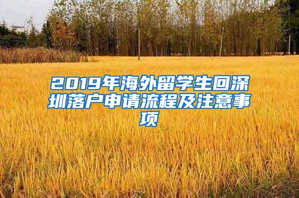 2019年海外留学生回深圳落户申请流程及注意事项