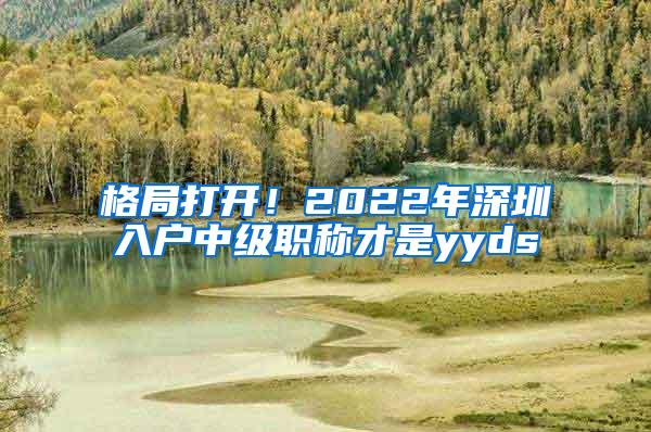 格局打开！2022年深圳入户中级职称才是yyds