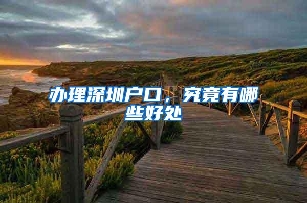 办理深圳户口，究竟有哪些好处