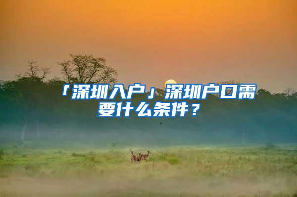「深圳入户」深圳户口需要什么条件？