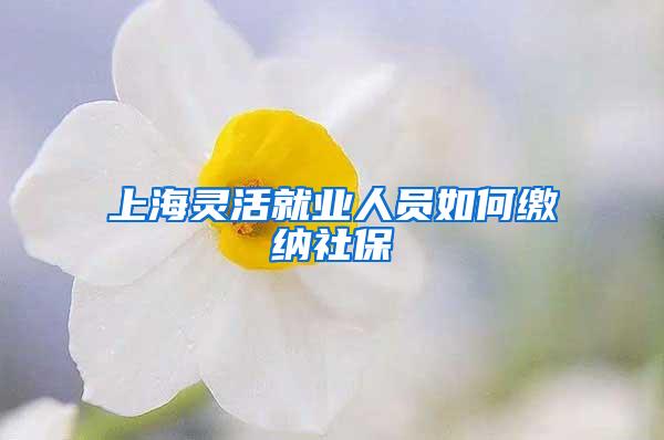 上海灵活就业人员如何缴纳社保