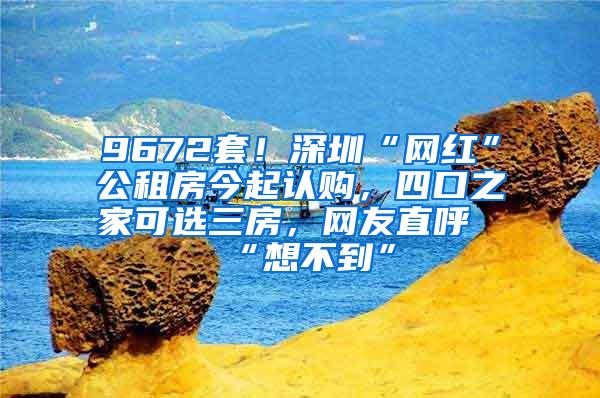 9672套！深圳“网红”公租房今起认购，四口之家可选三房，网友直呼“想不到”