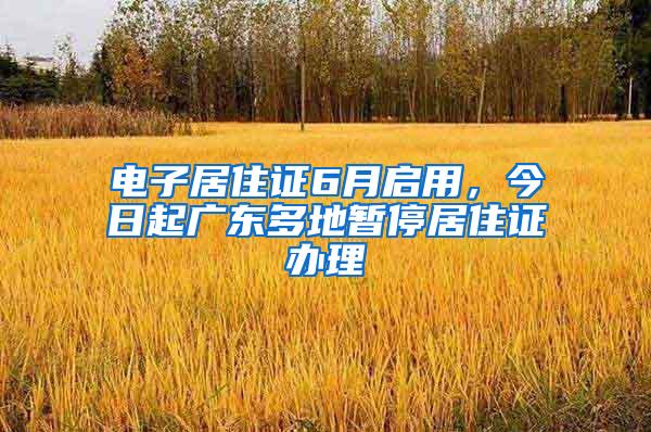 电子居住证6月启用，今日起广东多地暂停居住证办理