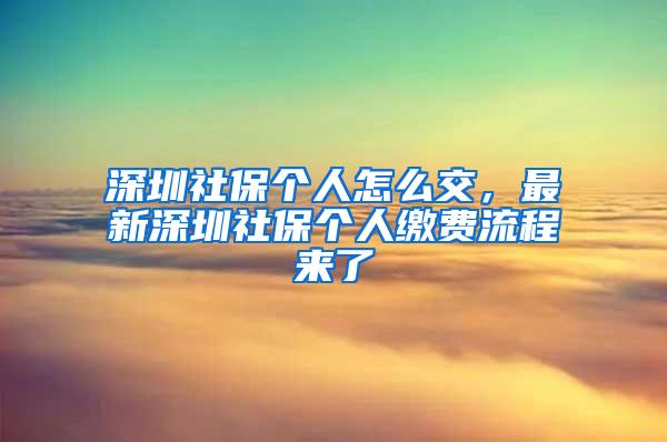 深圳社保个人怎么交，最新深圳社保个人缴费流程来了