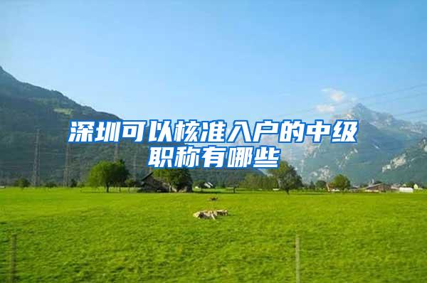 深圳可以核准入户的中级职称有哪些