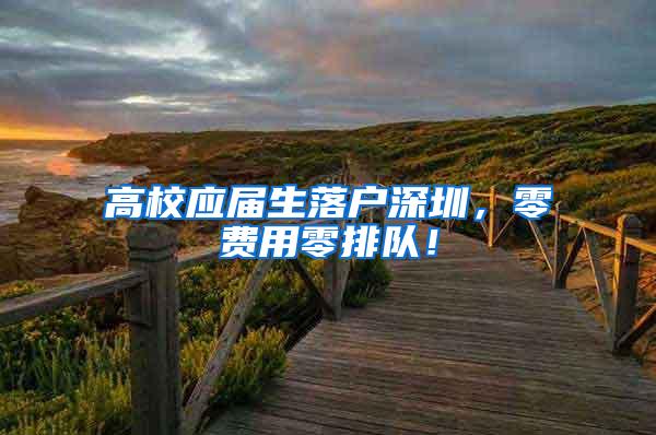 高校应届生落户深圳，零费用零排队！