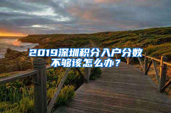 2019深圳积分入户分数不够该怎么办？