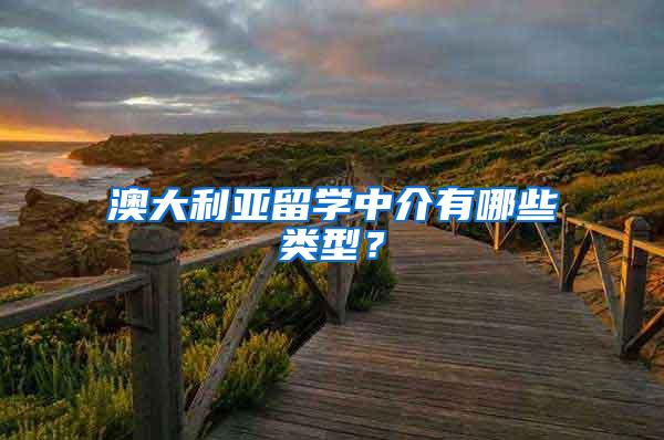 澳大利亚留学中介有哪些类型？