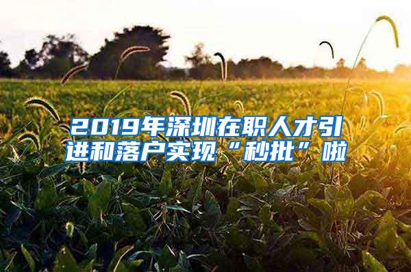 2019年深圳在职人才引进和落户实现“秒批”啦