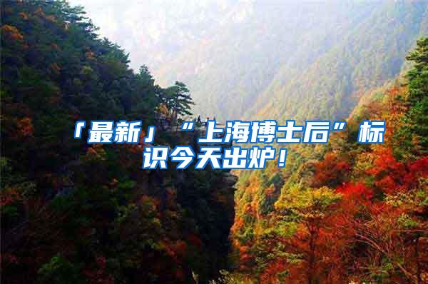 「最新」“上海博士后”标识今天出炉！