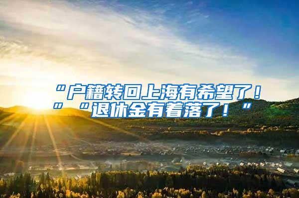 “户籍转回上海有希望了！”“退休金有着落了！”
