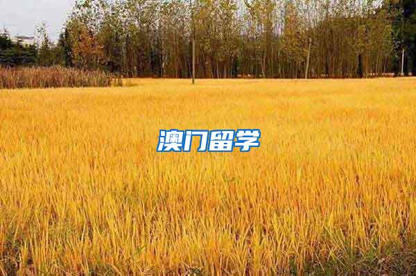 澳门留学