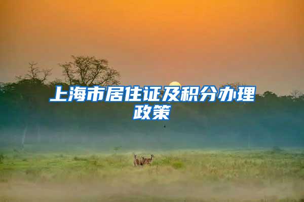 上海市居住证及积分办理政策