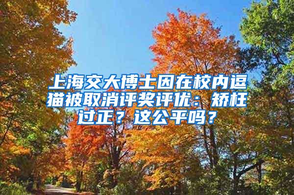 上海交大博士因在校内逗猫被取消评奖评优：矫枉过正？这公平吗？