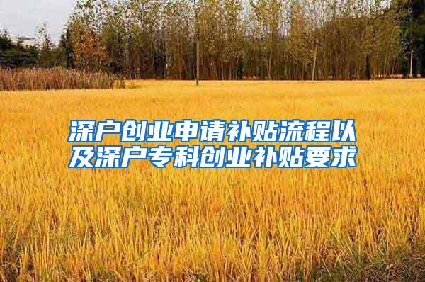 深户创业申请补贴流程以及深户专科创业补贴要求