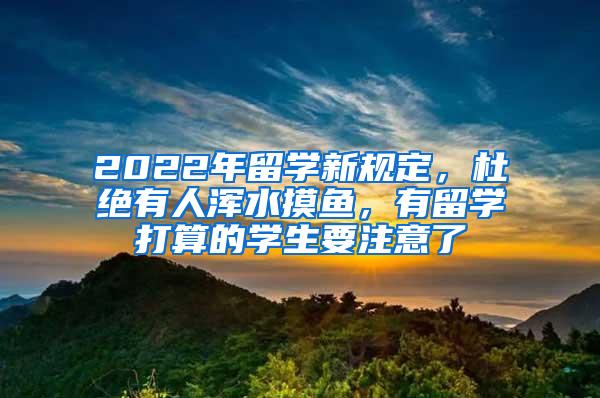2022年留学新规定，杜绝有人浑水摸鱼，有留学打算的学生要注意了