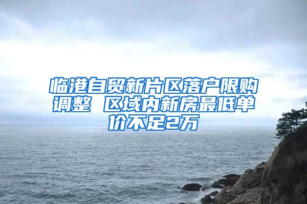 临港自贸新片区落户限购调整 区域内新房最低单价不足2万