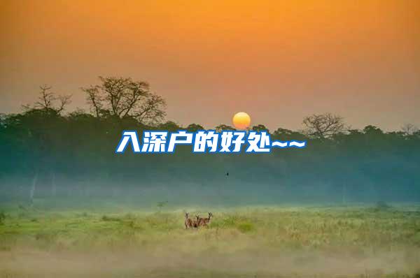 入深户的好处~~