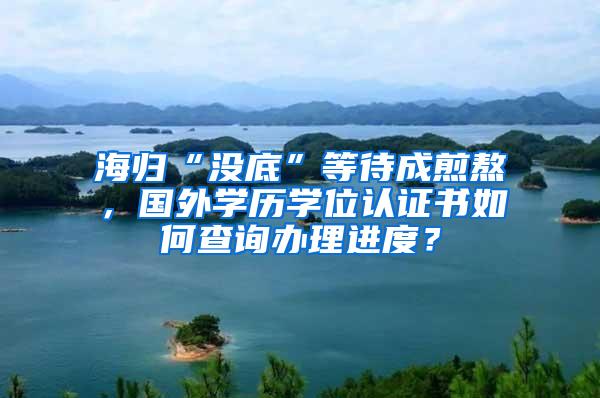 海归“没底”等待成煎熬，国外学历学位认证书如何查询办理进度？