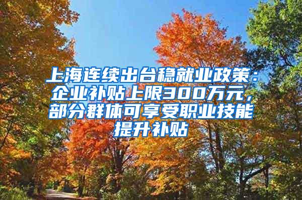 上海连续出台稳就业政策：企业补贴上限300万元，部分群体可享受职业技能提升补贴