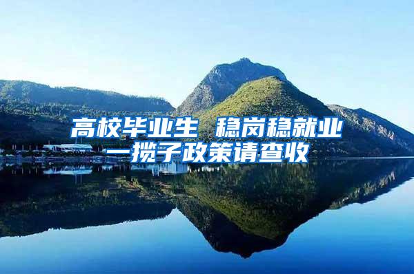 高校毕业生 稳岗稳就业一揽子政策请查收
