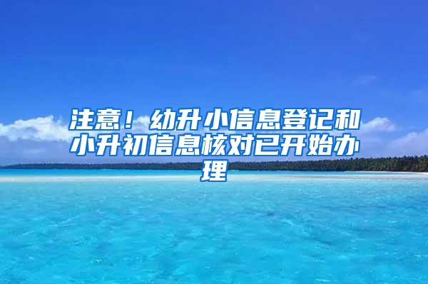 注意！幼升小信息登记和小升初信息核对已开始办理