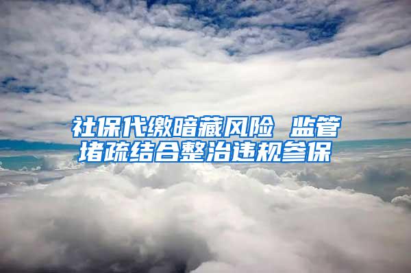 社保代缴暗藏风险 监管堵疏结合整治违规参保