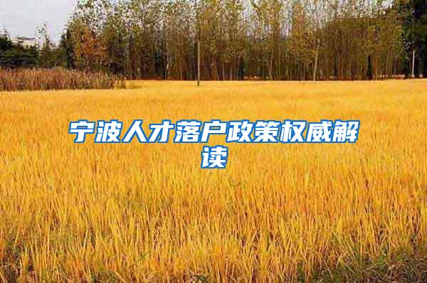 宁波人才落户政策权威解读