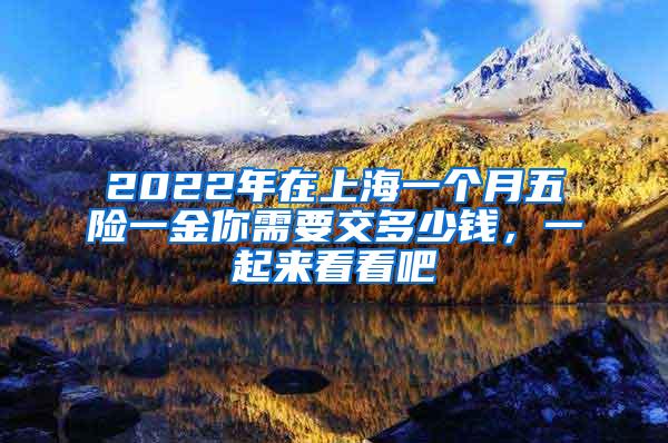 2022年在上海一个月五险一金你需要交多少钱，一起来看看吧