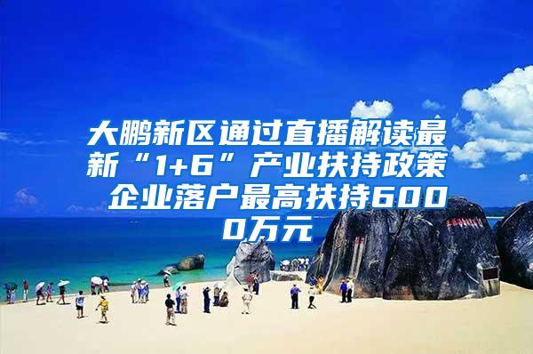 大鹏新区通过直播解读最新“1+6”产业扶持政策 企业落户最高扶持6000万元