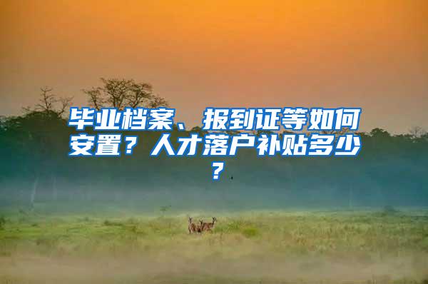 毕业档案、报到证等如何安置？人才落户补贴多少？