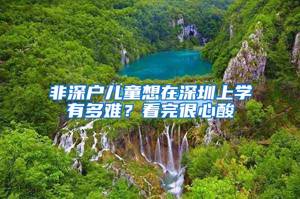 非深户儿童想在深圳上学有多难？看完很心酸