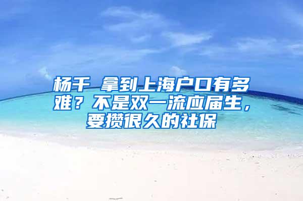 杨千嬅拿到上海户口有多难？不是双一流应届生，要攒很久的社保