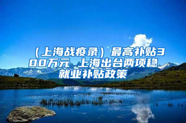 （上海战疫录）最高补贴300万元 上海出台两项稳就业补贴政策