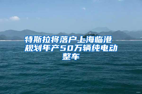 特斯拉将落户上海临港 规划年产50万辆纯电动整车