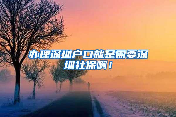 办理深圳户口就是需要深圳社保啊！