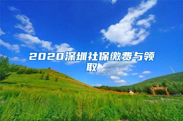 2020深圳社保缴费与领取