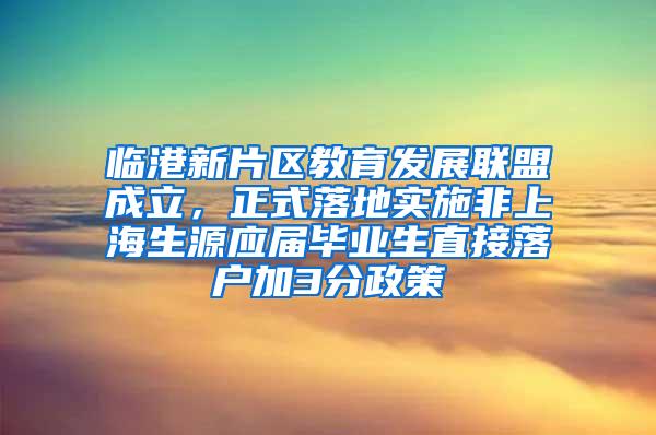 临港新片区教育发展联盟成立，正式落地实施非上海生源应届毕业生直接落户加3分政策