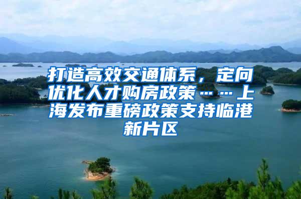 打造高效交通体系，定向优化人才购房政策……上海发布重磅政策支持临港新片区