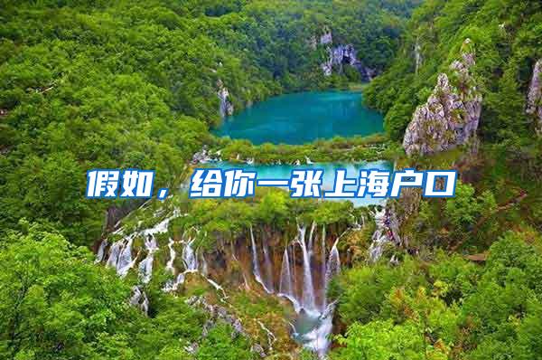 假如，给你一张上海户口