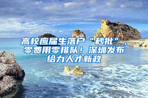 高校应届生落户“秒批”，零费用零排队！深圳发布给力人才新政