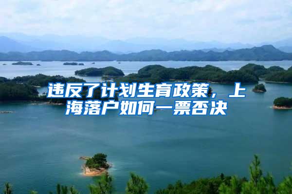 违反了计划生育政策，上海落户如何一票否决