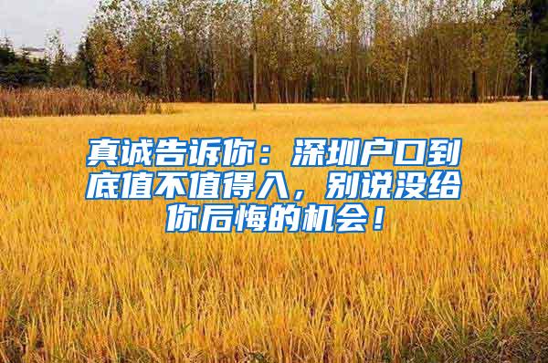 真诚告诉你：深圳户口到底值不值得入，别说没给你后悔的机会！